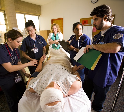Nursing, BSN | Holy Family University