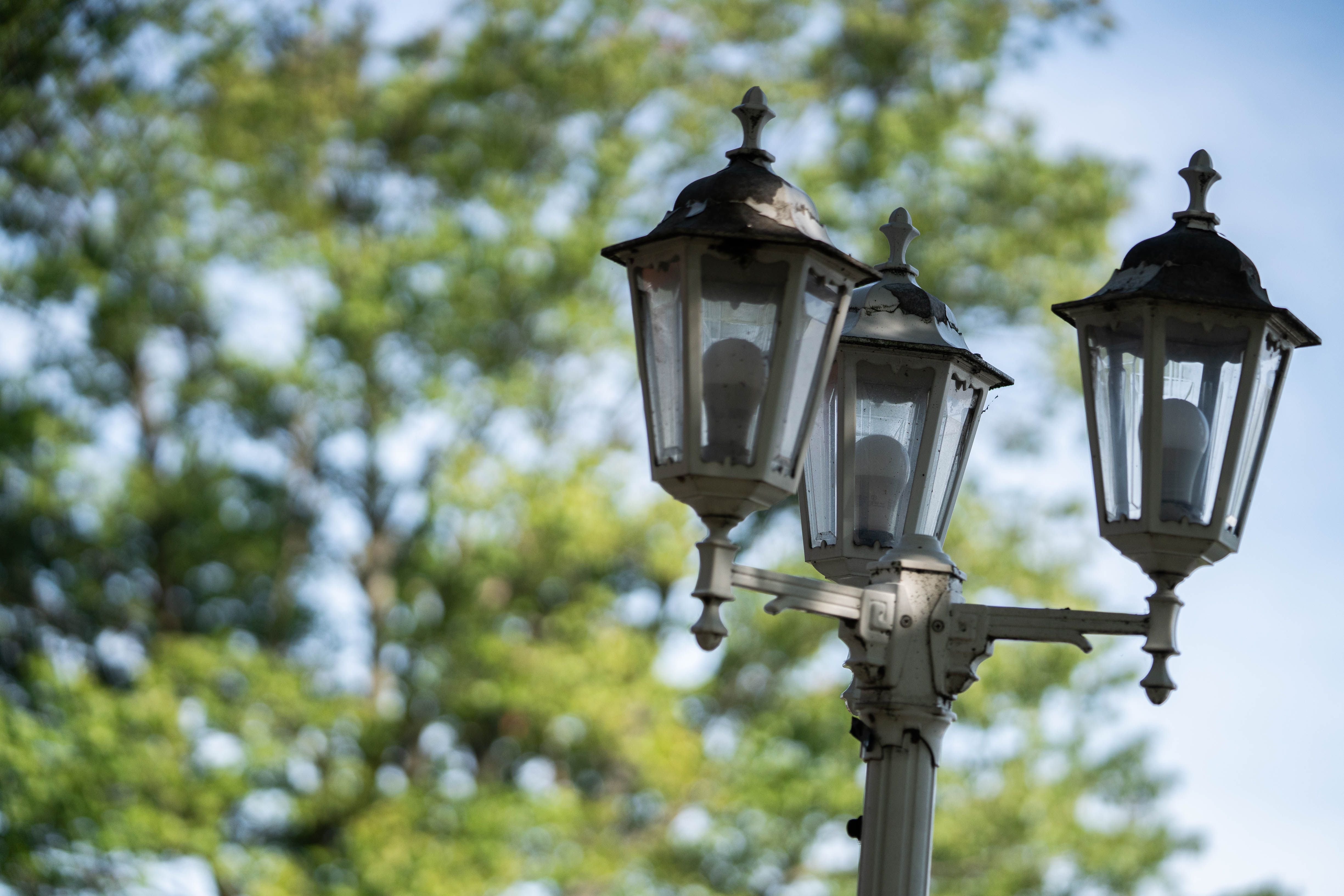 Lampposts on Main Campus