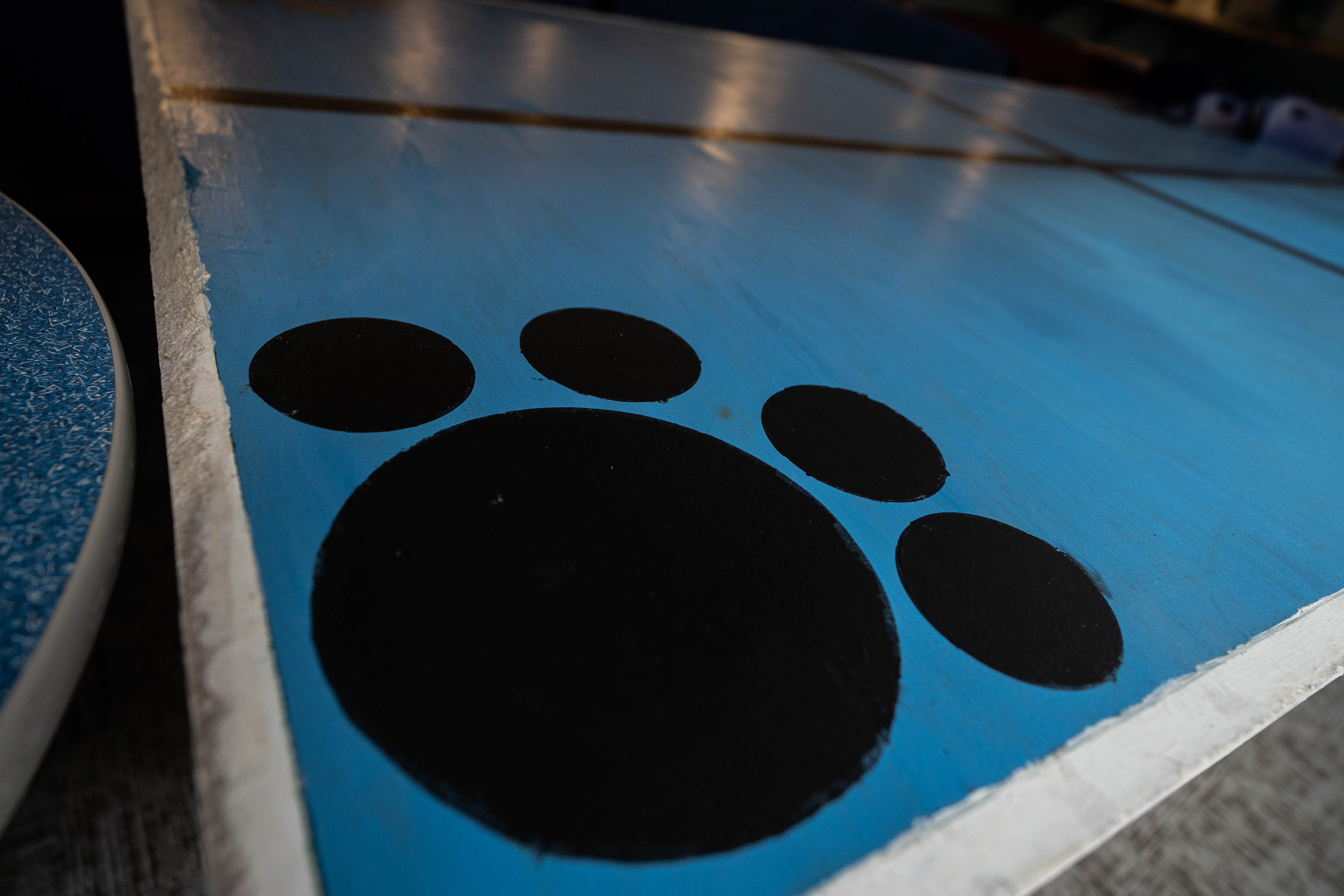Blue tiger paw on ping pong table in Campus Center