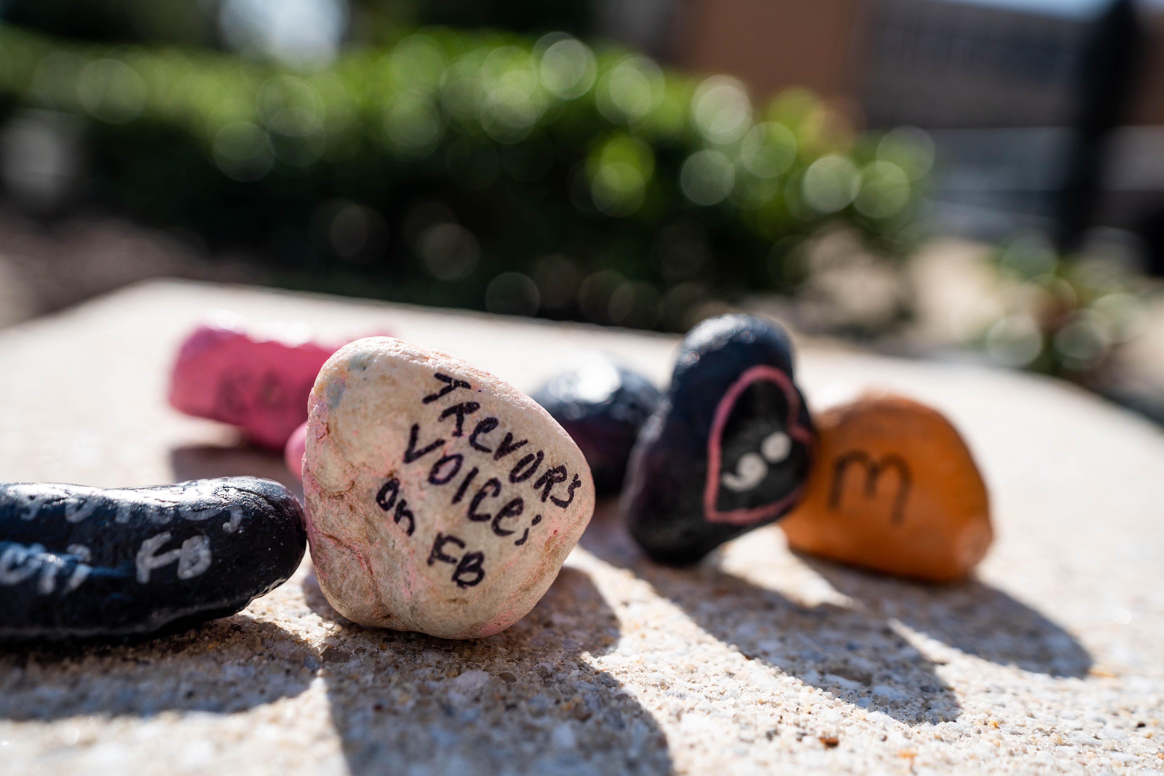 Painted stones with suicide-prevention messages