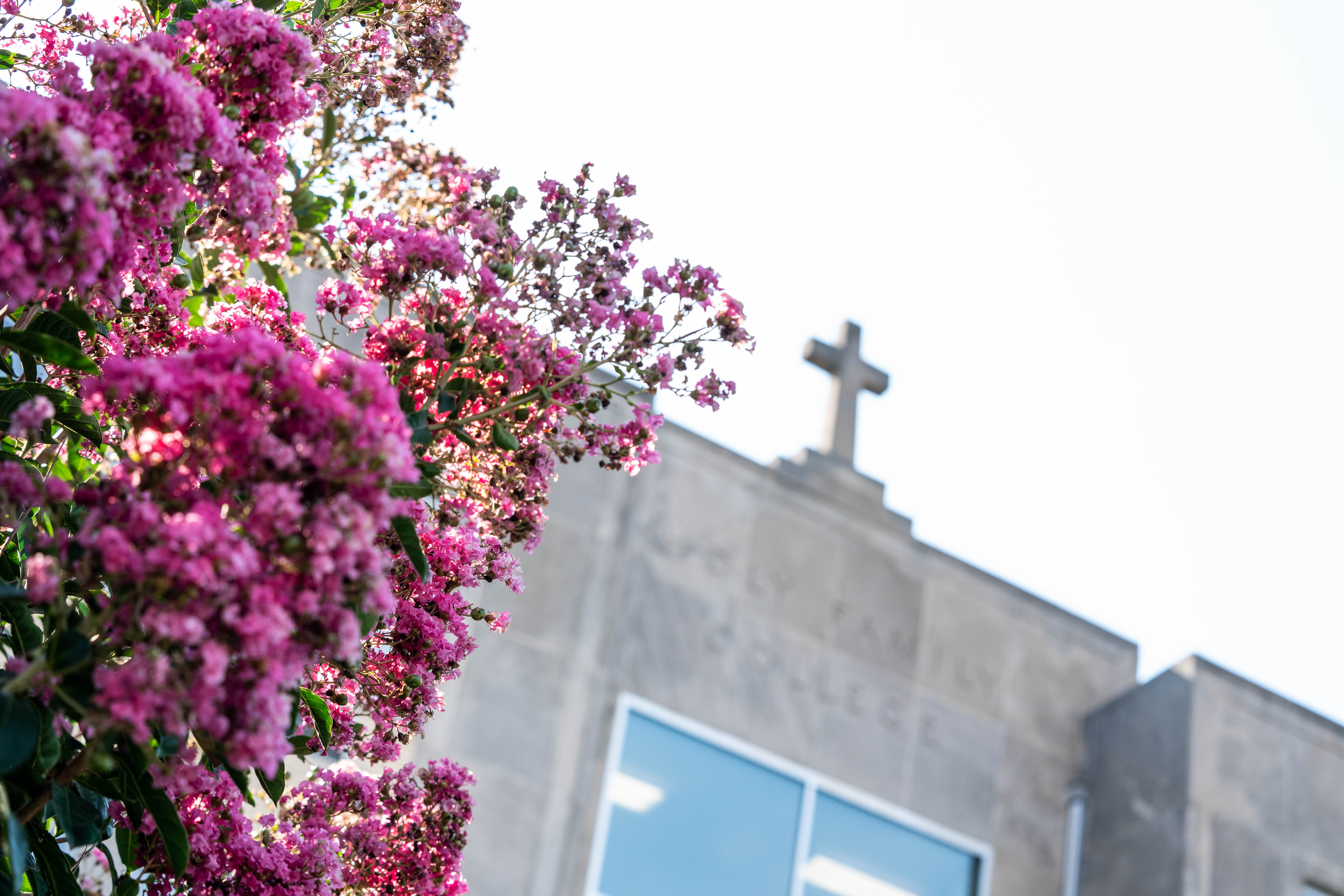 Cross on the room of Holy Family University Hall