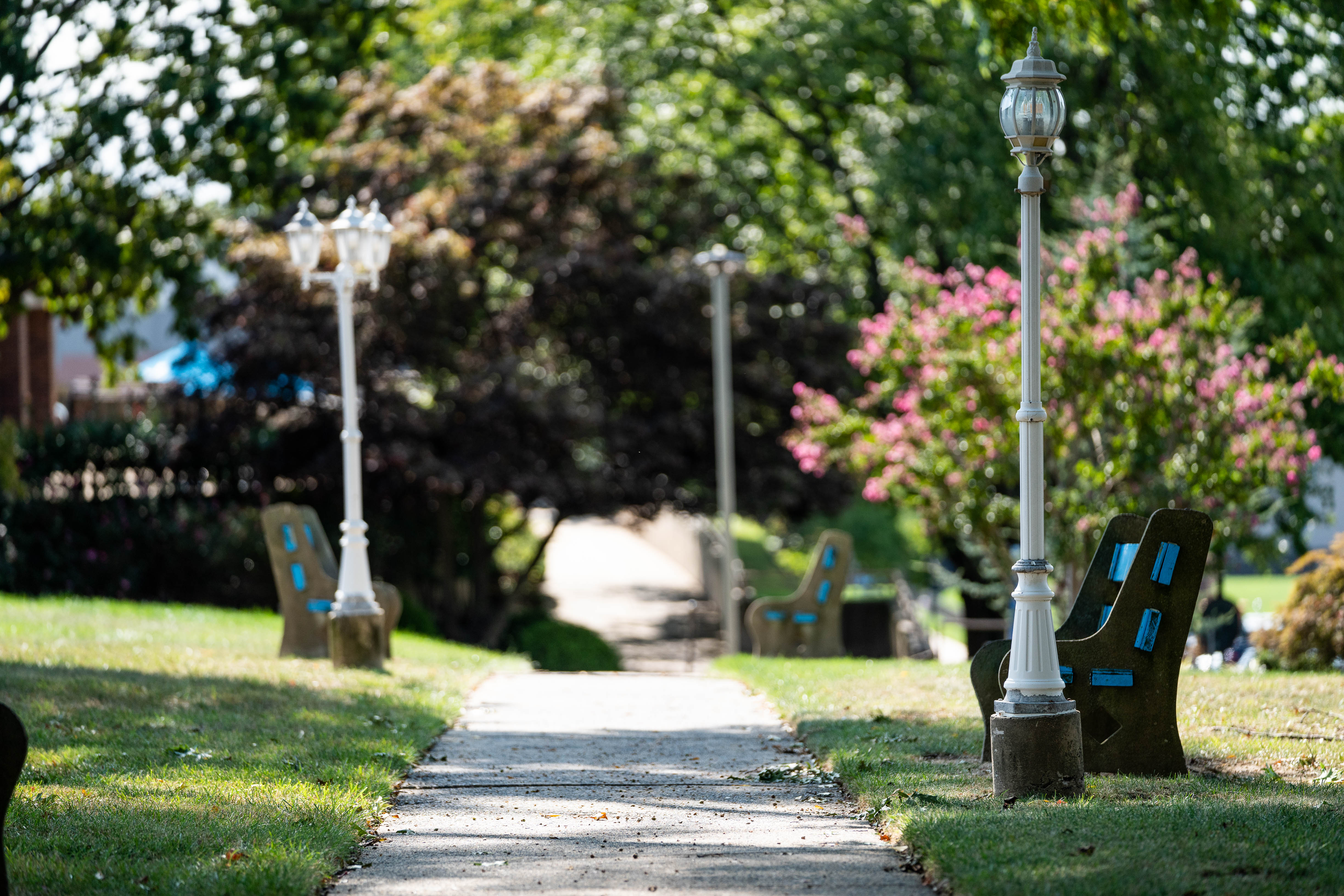 Walkway with flowers in bloom on Holy Family University's Main Campus