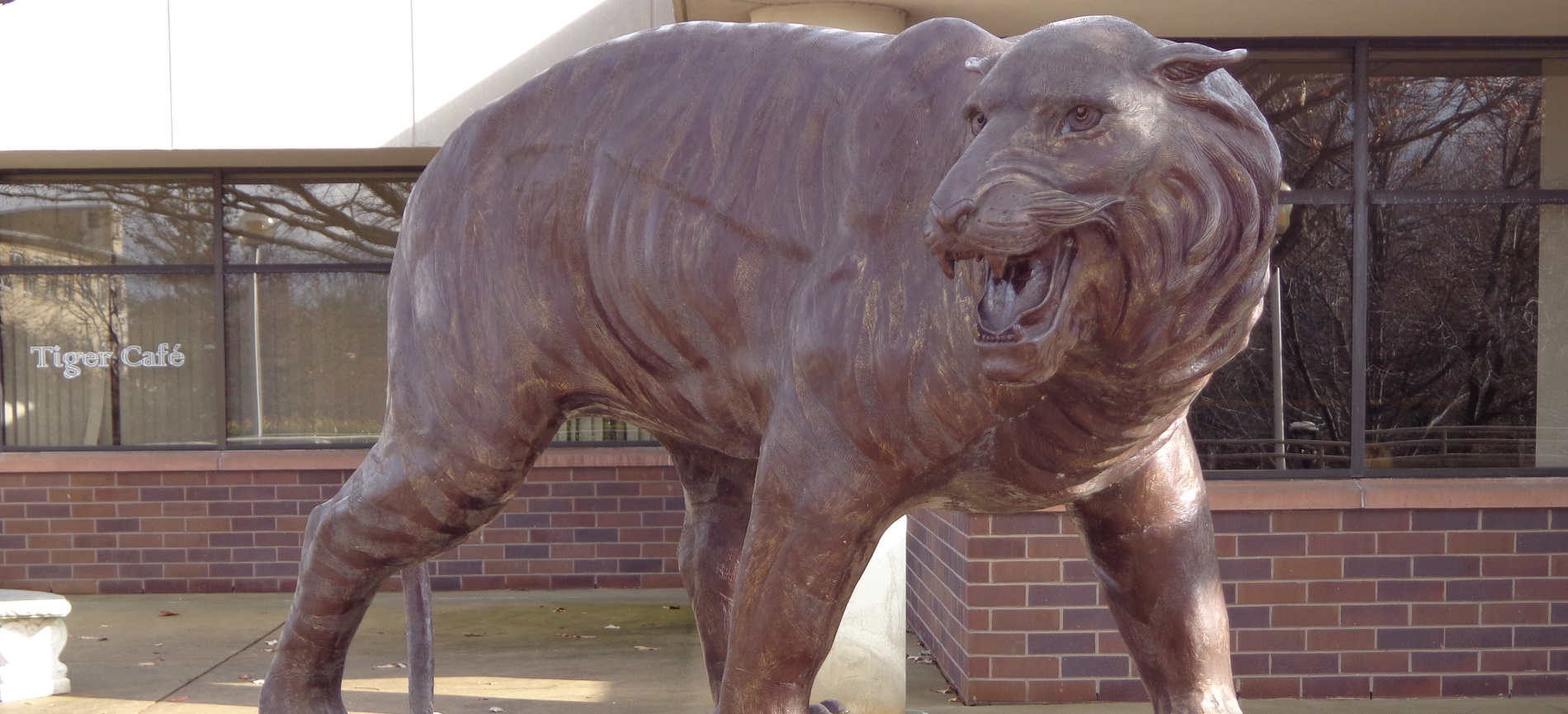 HFU Detail Photos-AR108710-September 08, 2020.jpg Tiger statue in front of the Campus Center
