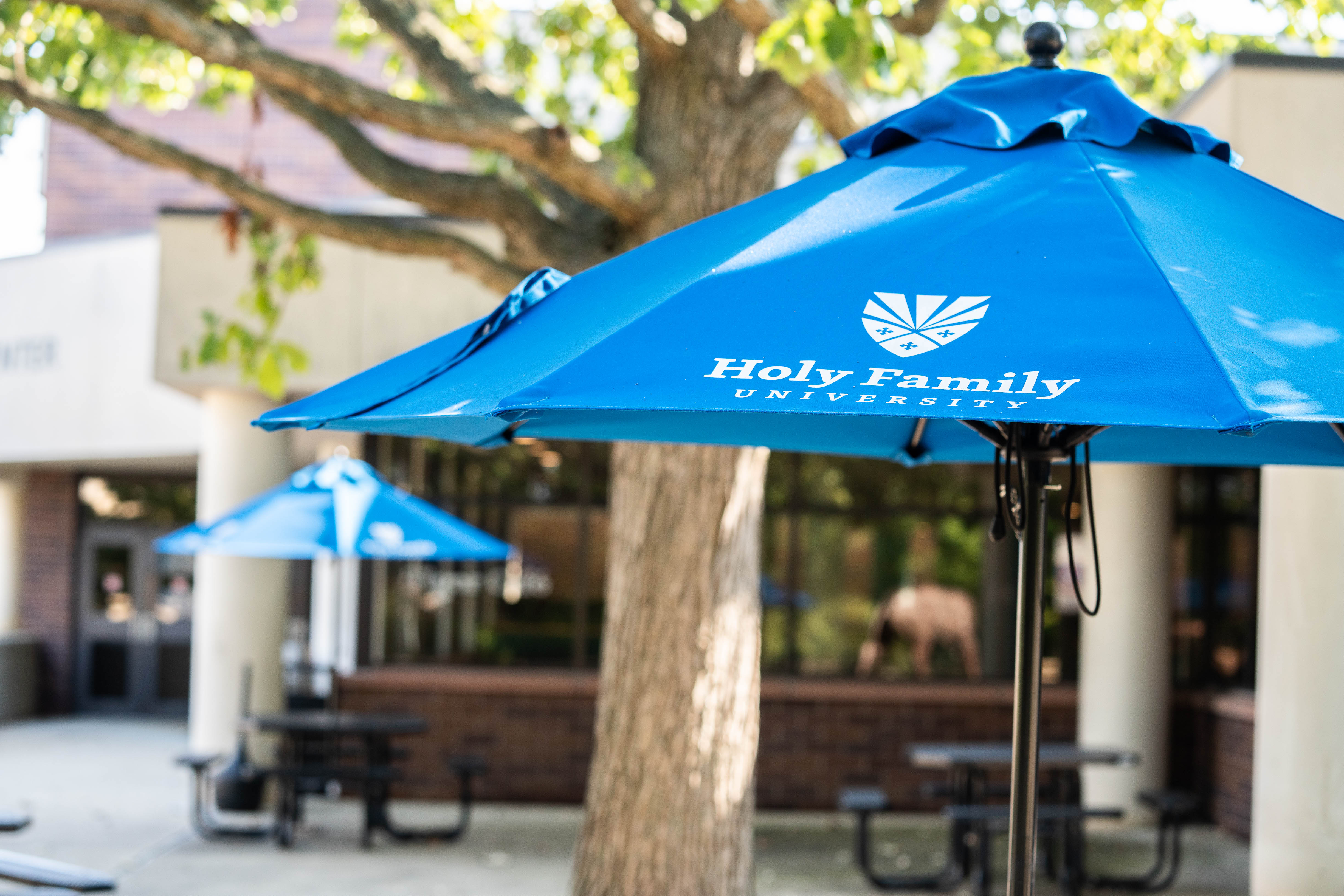 Holy Family University umbrellas