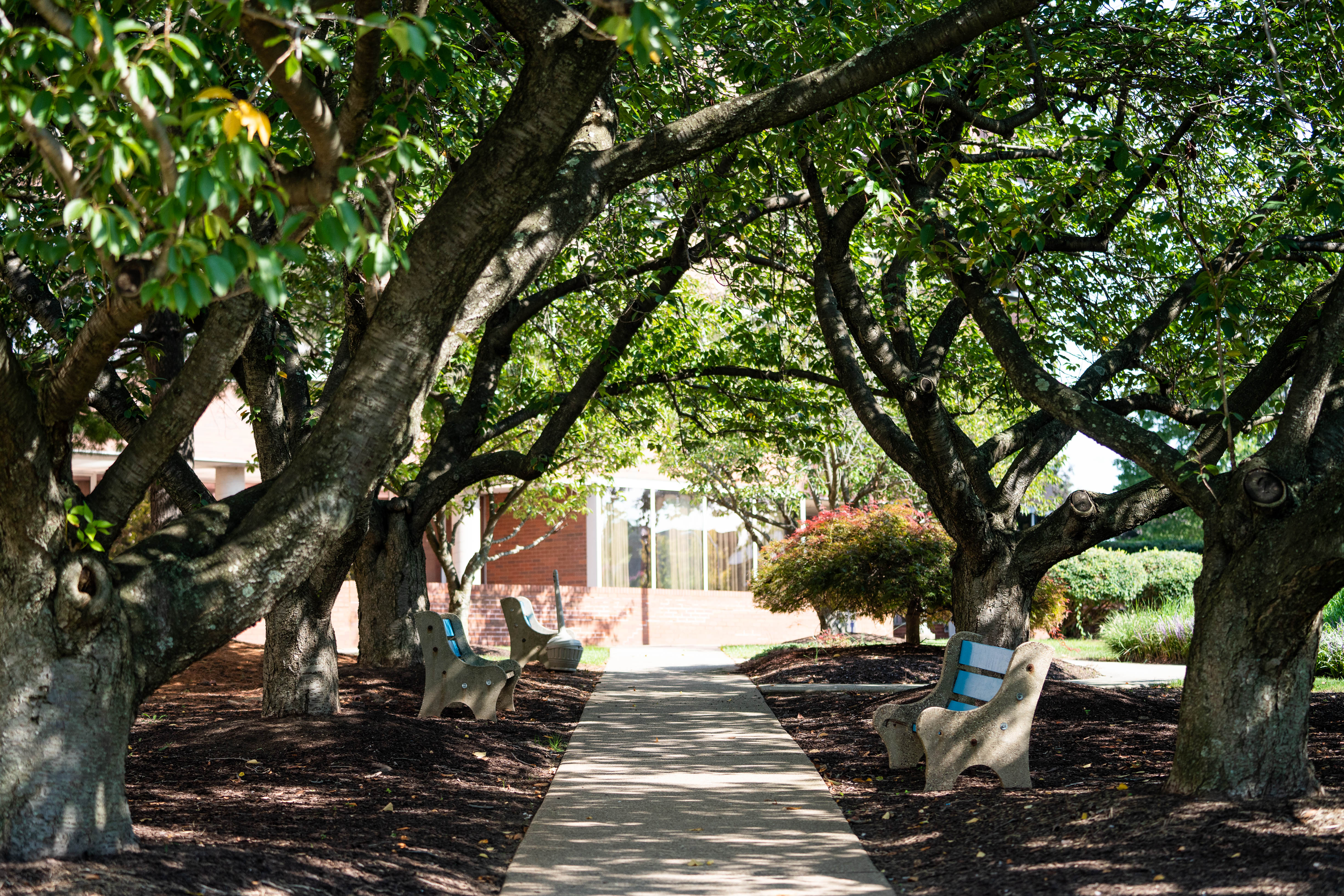 HFU Detail Photos-AR108813-September 08, 2020.jpg Holy Family University campus walk