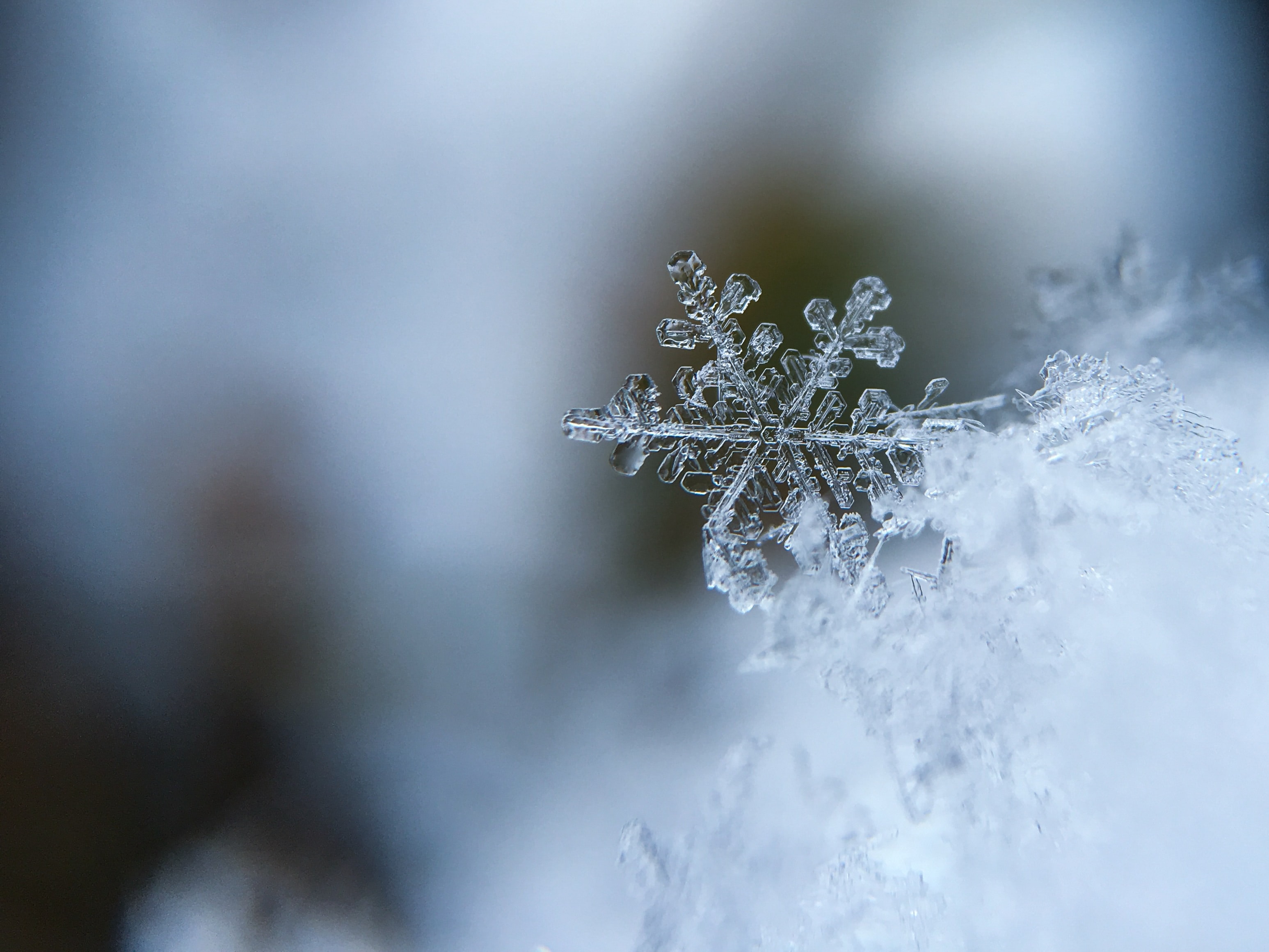 Winter snowflake