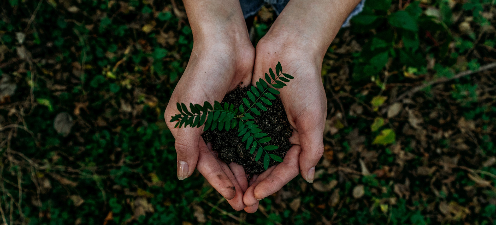 Laudato Si'