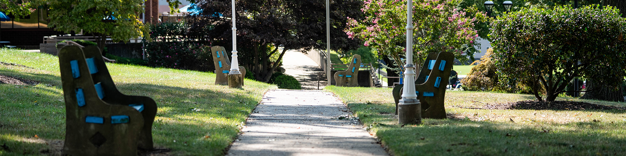 Campus walkway and benches