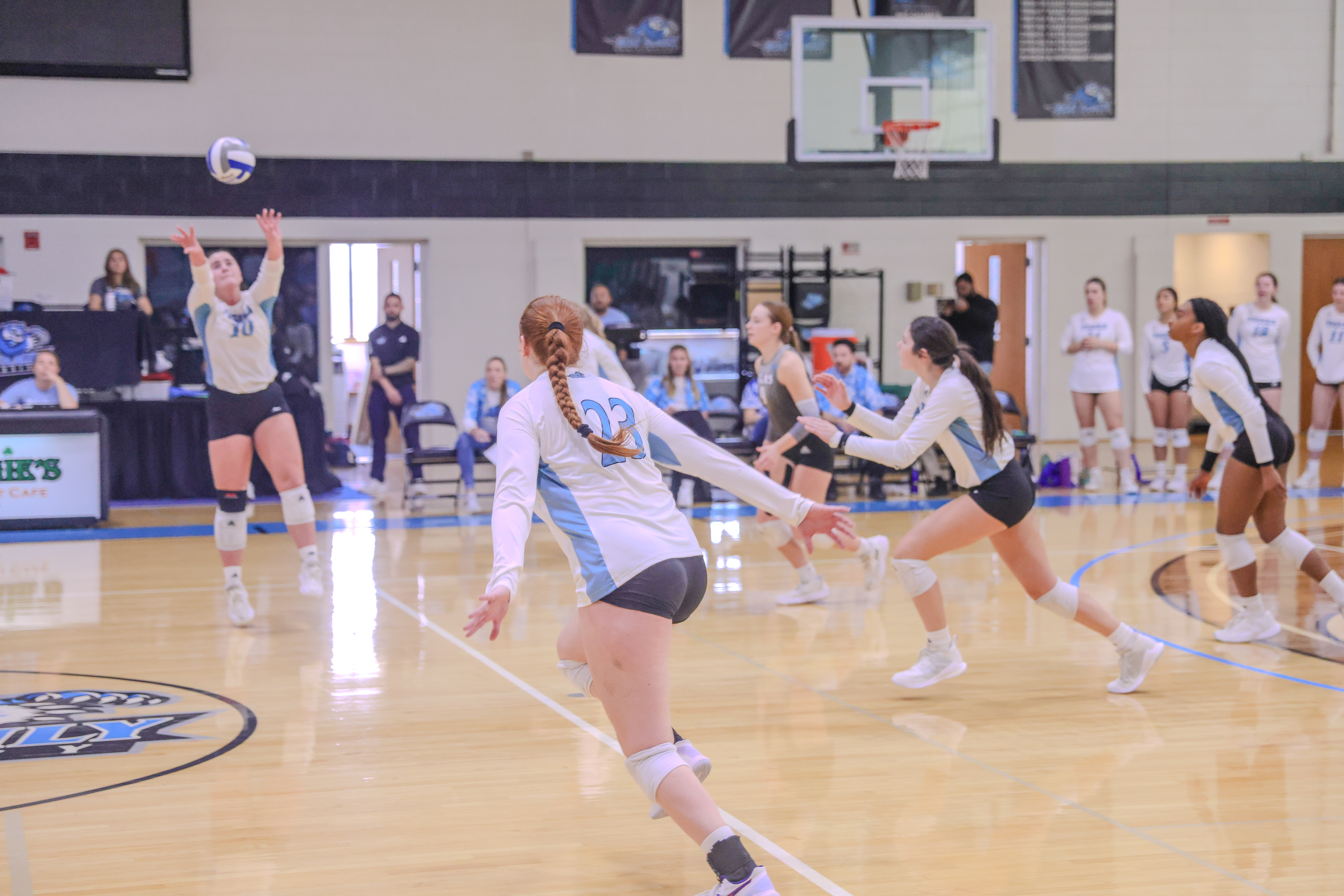 Women's volleyball team mid-game.