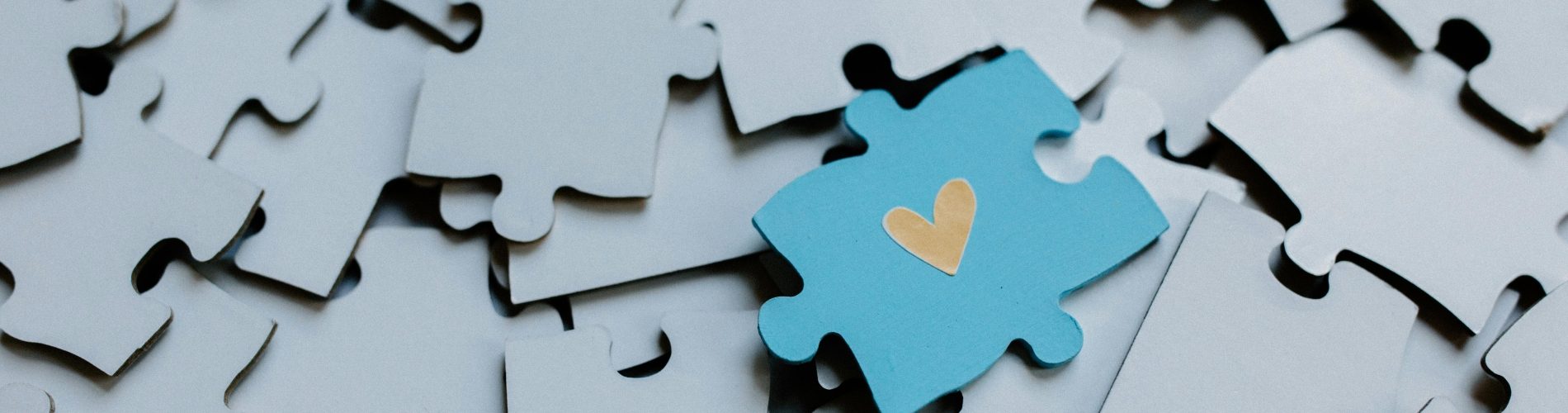 Corporate Partners: Piece of Our Puzzle