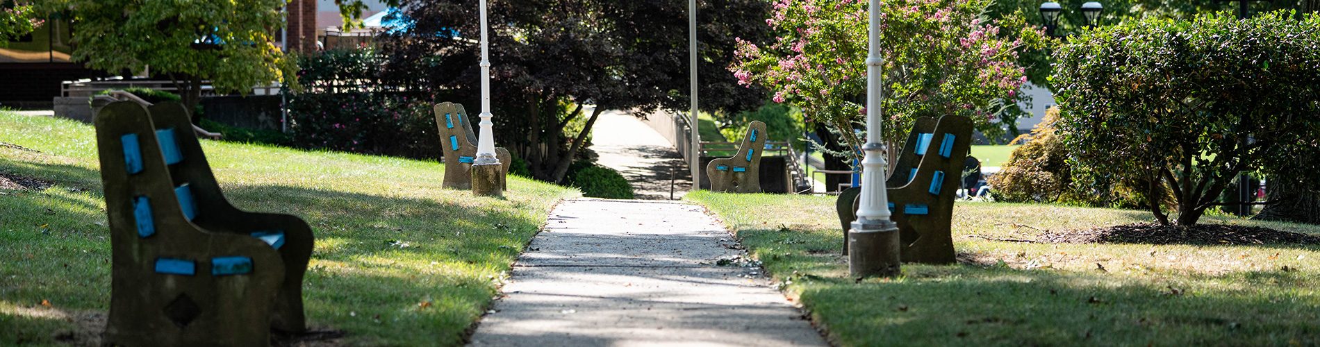 Campus walkway and benches