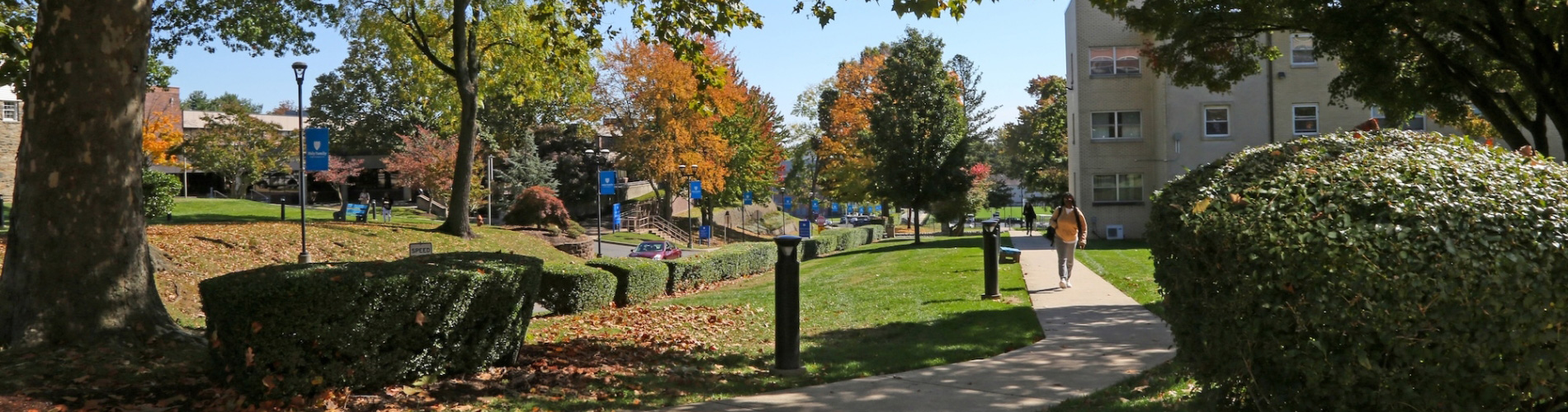 A tree-lined path on the Philadelphia campus with a student walking in the distance
