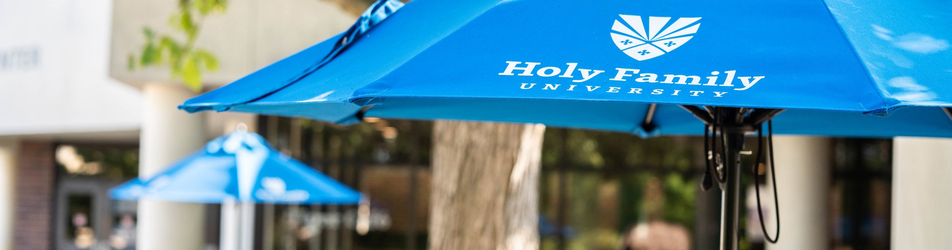 Holy Family University umbrellas