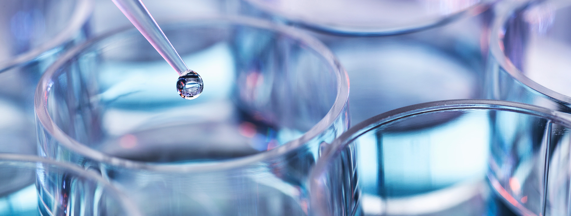 Liquid being added to multiwell plate