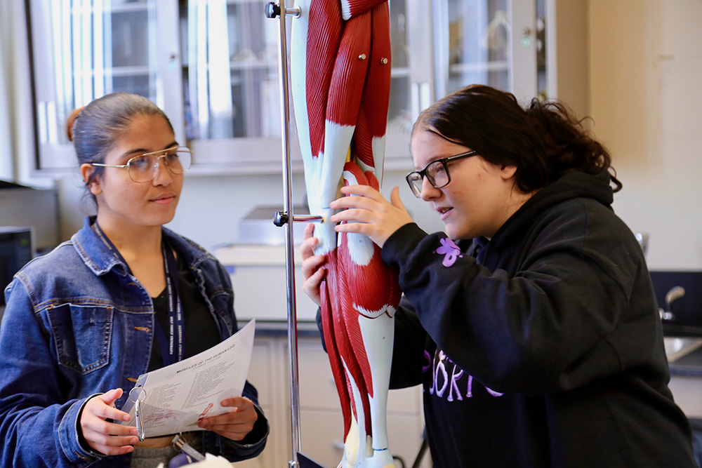 Two students working in biology lab
