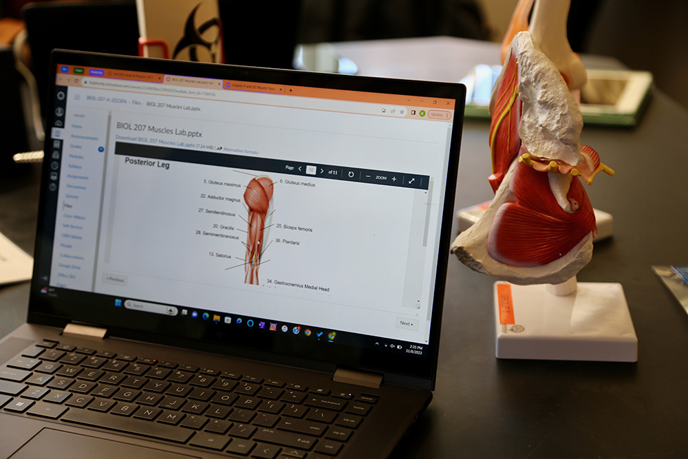 Screen of a laptop in biology lab