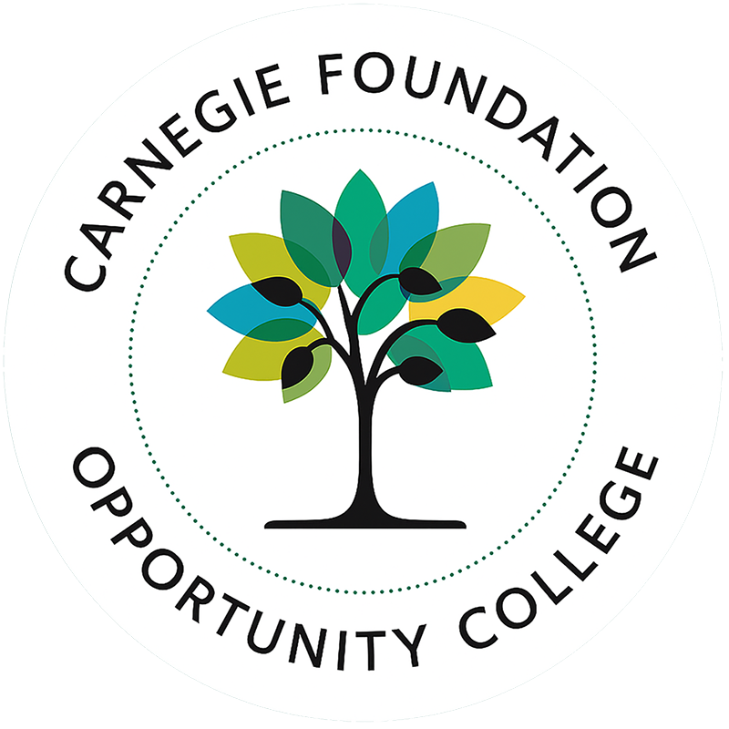 Carnegie Foundation Logo