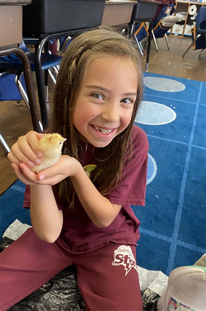 Student holding a chick in class