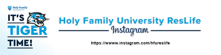 Instragram link