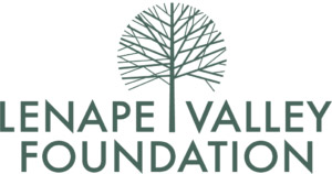 Lenape Valley Foundation