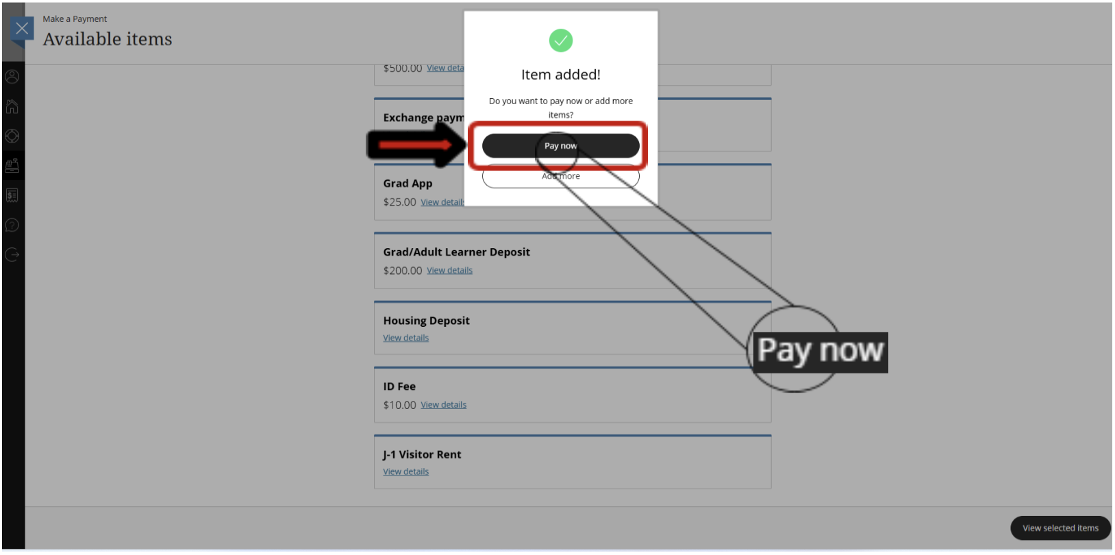 Pay now button screen