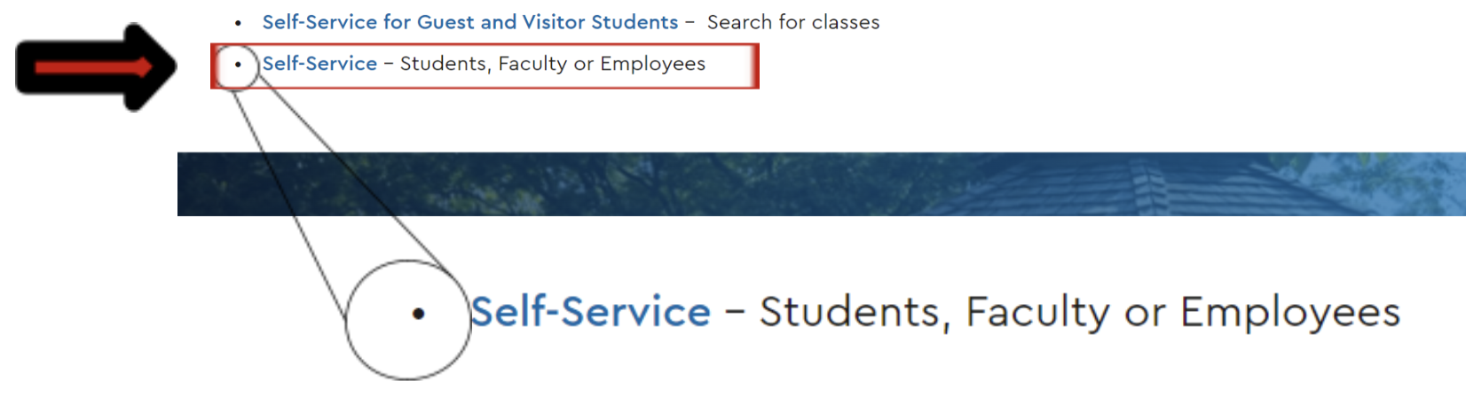 Self-Service option screen