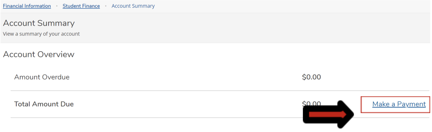 Account summary screen