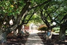 Holy Family University campus walk