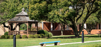 School of Business and Technology