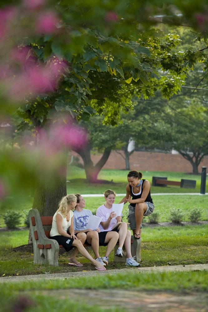 Students on campus